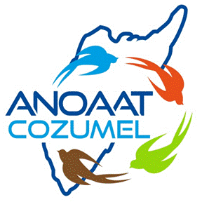 cropped-ANOAAT-LOGO2.png